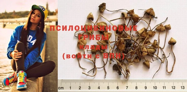 метадон Майский