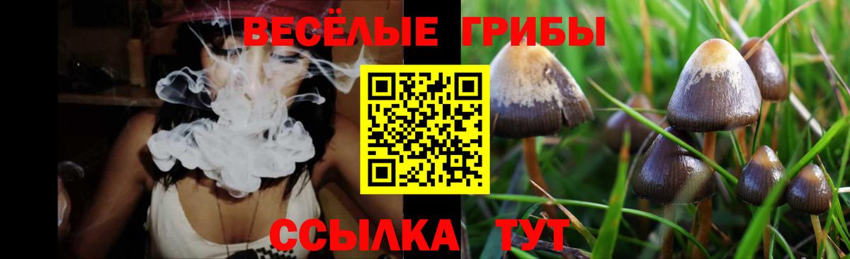 Галлюциногенные грибы мицелий Дмитров